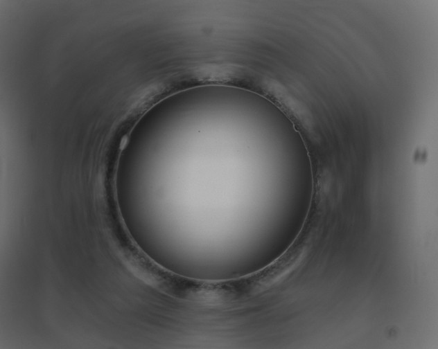 X0000096660209200802051227