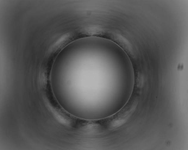 X0000096660210200802051227