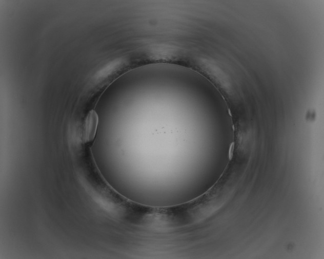 X0000096660211200802051227