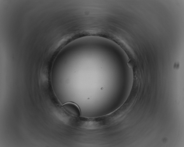 X0000096660212200802051227