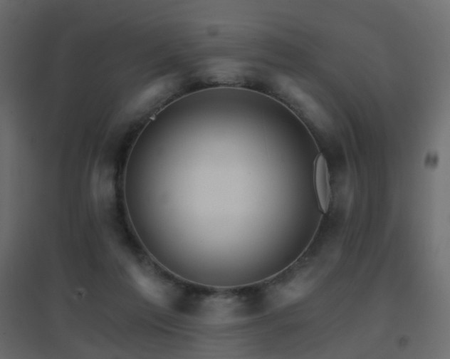 X0000096660213200802051227