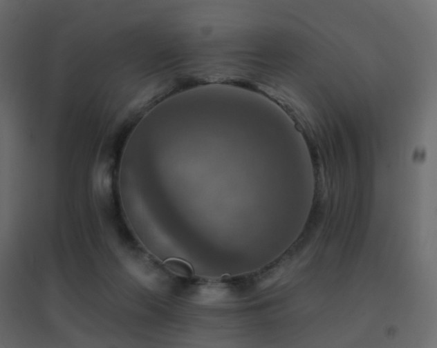 X0000096660214200802051227