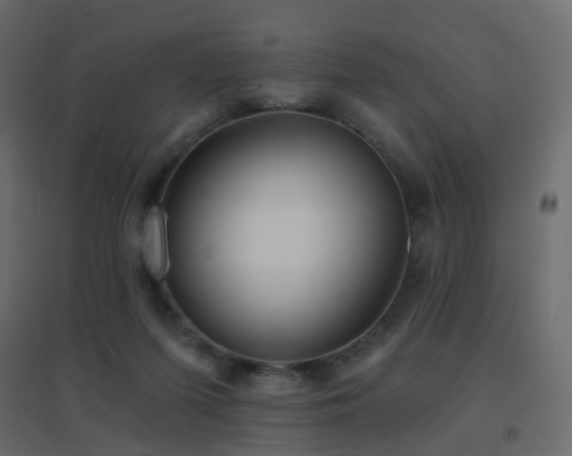 X0000096660215200802051227