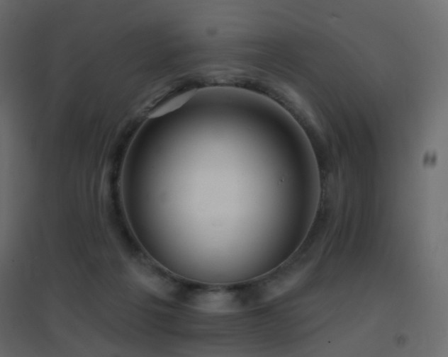 X0000096660217200802051227