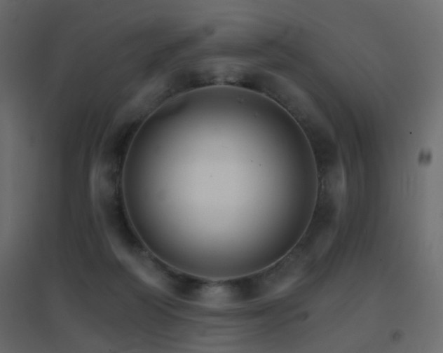 X0000096660218200802051227