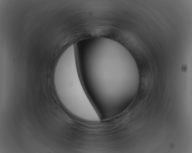 X0000096660219200802051227