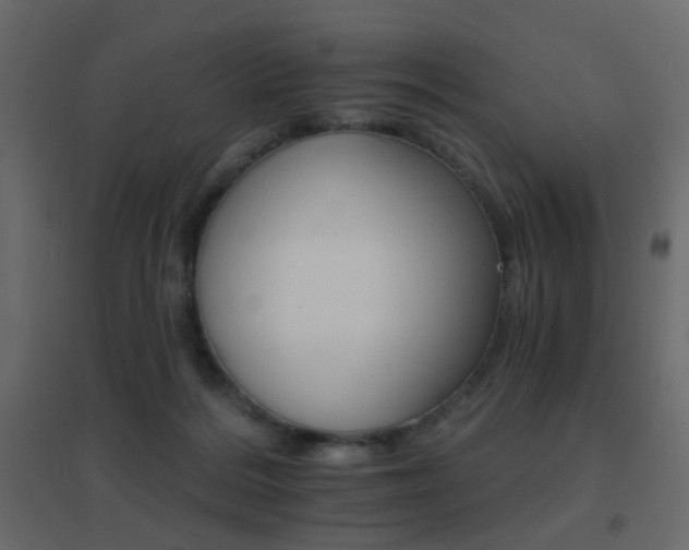 X0000096660220200802051227