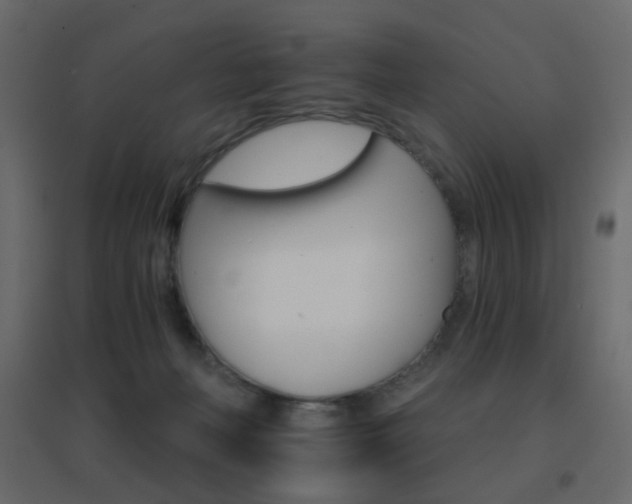 X0000096660222200802051227