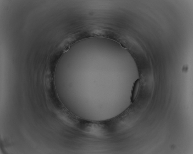 X0000096660223200802051227