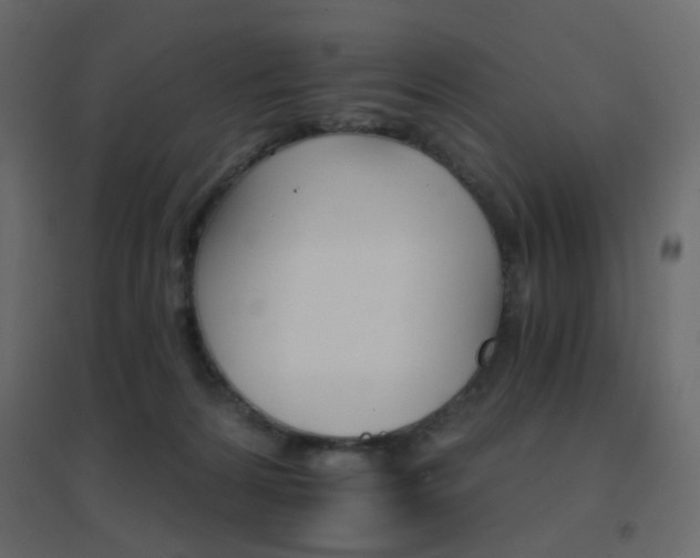 X0000096660224200802051227