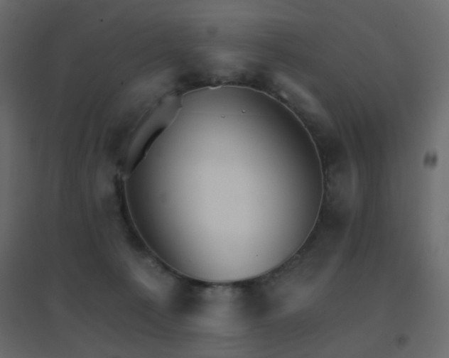 X0000096660225200802051227