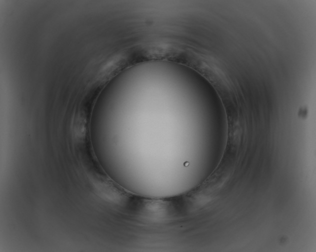 X0000096660226200802051227