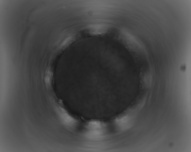 X0000096660227200802051227