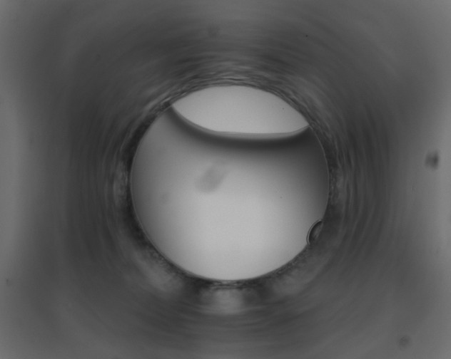 X0000096660228200802051227