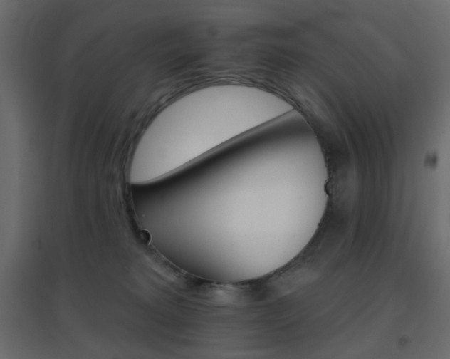 X0000096660229200802051227