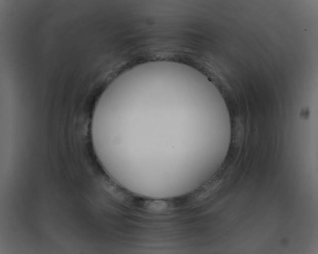 X0000096660230200802051227