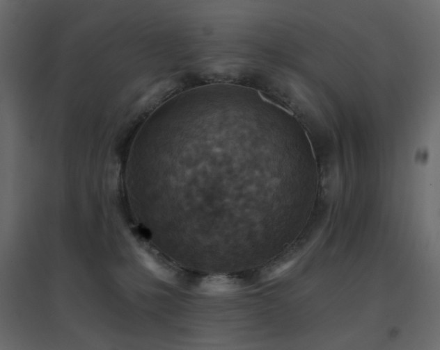 X0000096660231200802051227