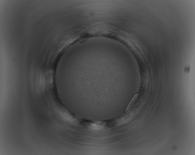 X0000096660232200802051227