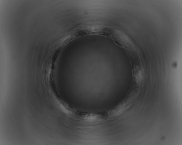 X0000096660235200802051227