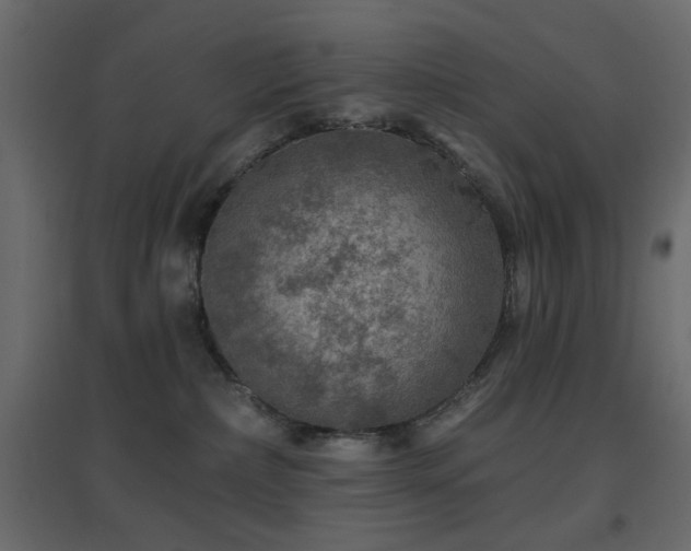 X0000096660236200802051227