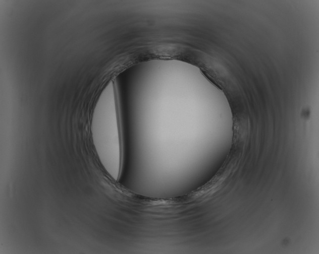 X0000096660237200802051227