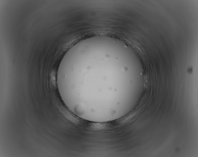 X0000096660238200802051226