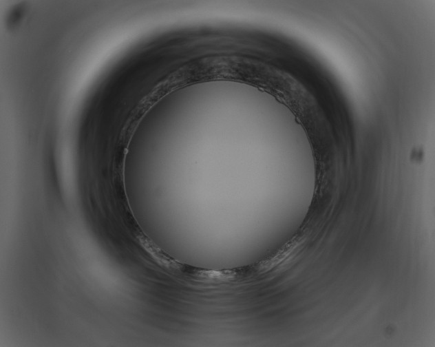 X0000096660239200802051226