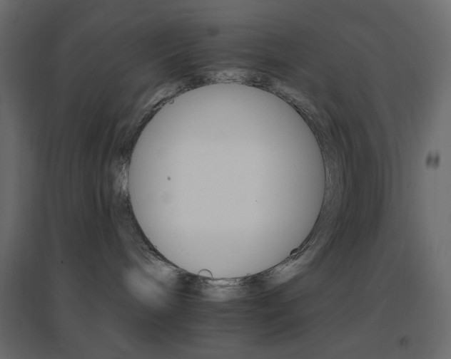 X0000096660240200802051226