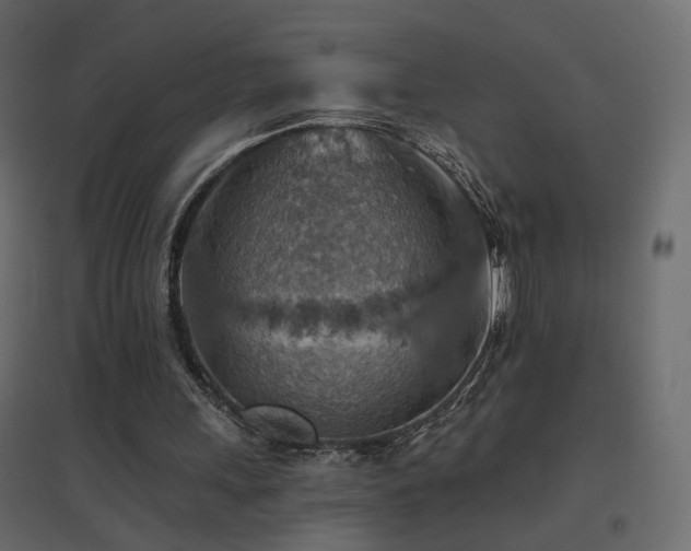 X0000096660243200802051226