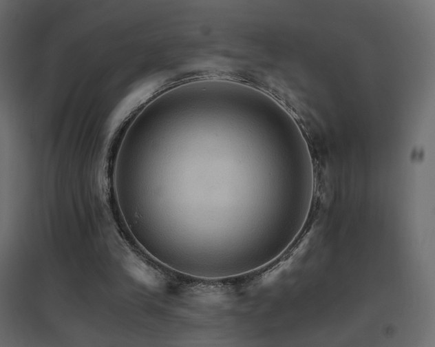 X0000096660245200802051226