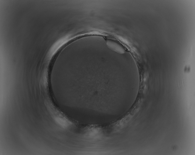 X0000096660247200802051226