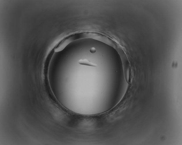 X0000096660248200802051226