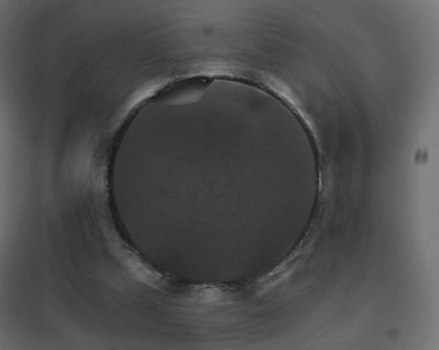 X0000096660249200802051226