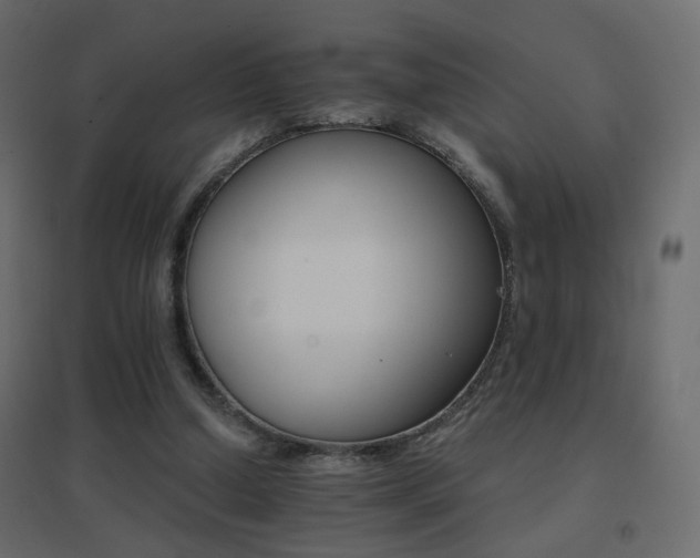 X0000096660250200802051226