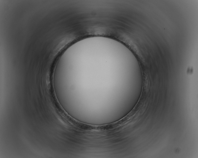 X0000096660251200802051226