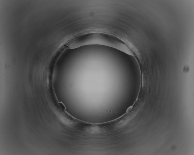 X0000096660253200802051226