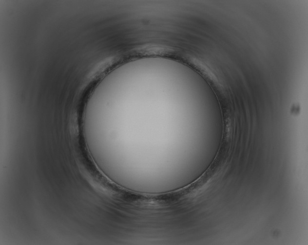 X0000096660254200802051226