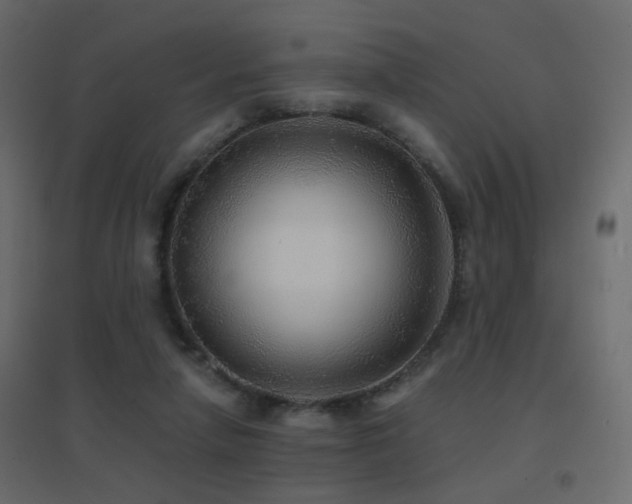 X0000096660258200802051226