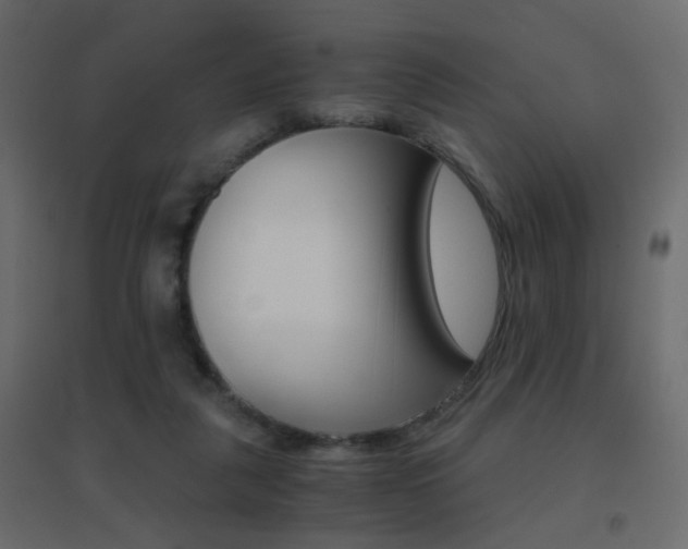 X0000096660259200802051226