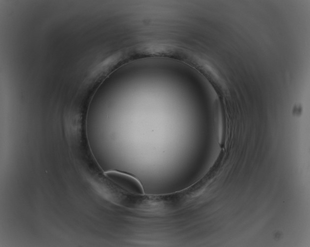 X0000096660260200802051226