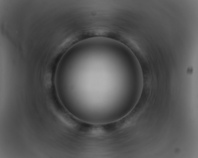 X0000096660262200802051226