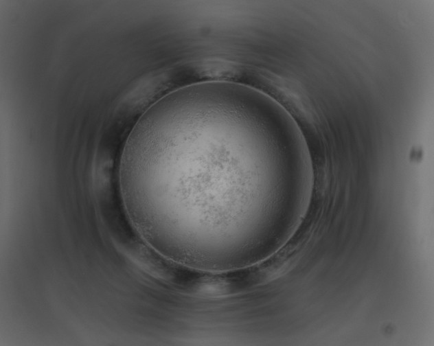 X0000096660263200802051226