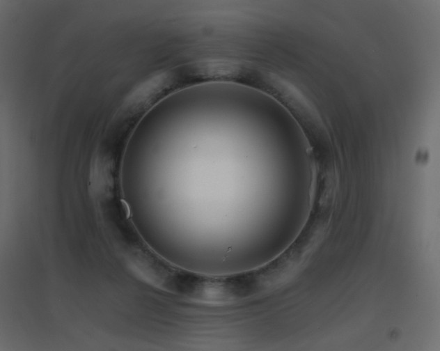 X0000096660264200802051226