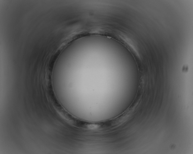 X0000096660265200802051226