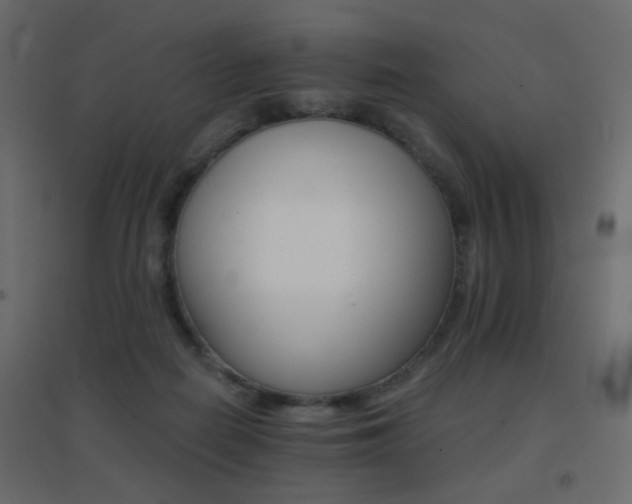 X0000096660266200802051226