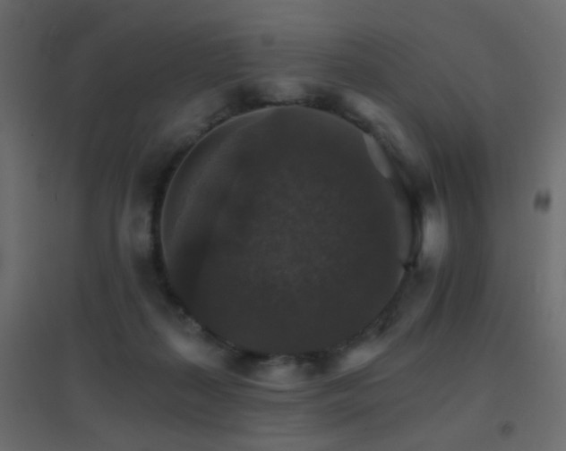 X0000096660267200802051226