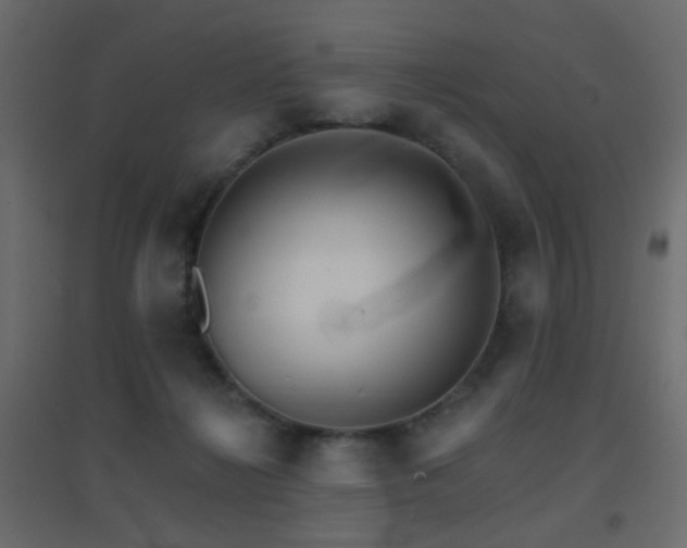 X0000096660268200802051226