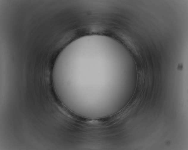 X0000096660269200802051226