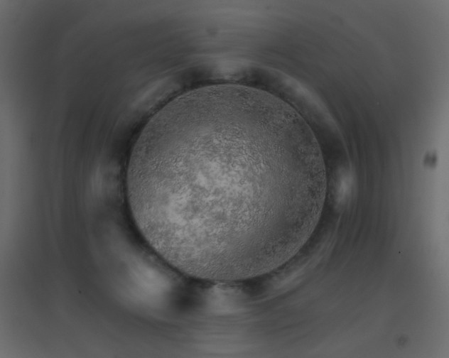 X0000096660270200802051226