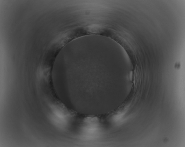 X0000096660271200802051226